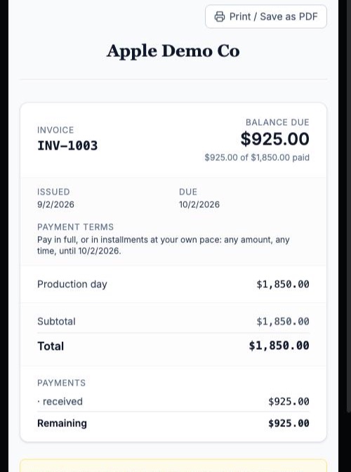 The client's view: the balance, the terms, and every payment they have already made.